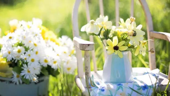 Alternative Dementia Therapies To Consider 6 2017.09.14 Alternative Therapies To Consider