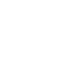 About Us 1 Iris Mc Icon Final Rgb White
